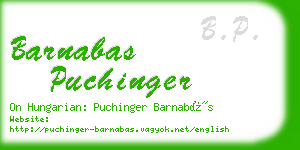barnabas puchinger business card